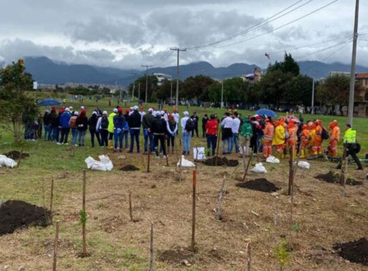 Bogotá cuenta con seis conectores ecosistémicos.